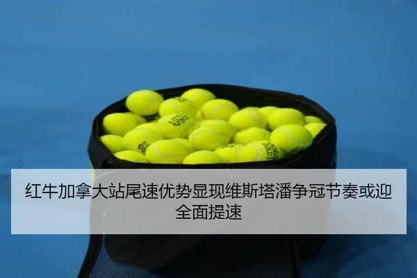 hong-niu-jia-na-da-zhan-wei-su-you-shi-xian-xian-wei-si-ta-pan-zheng-guan-jie-zou-huo-ying-quan-mian-ti-su-2-522.jpg